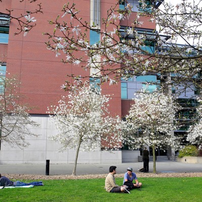 Students sitting on a lawn