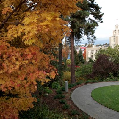 Seattle University's Administration building seen through the fall colors of campus