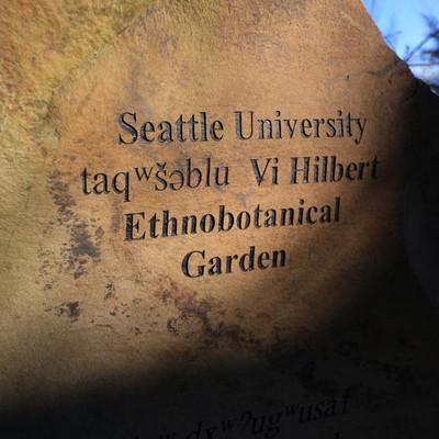 Seattle University ethnobotanical garden