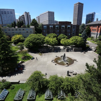 A park with trees and buildings in the background.