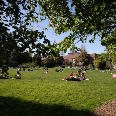 A group of people in a park.