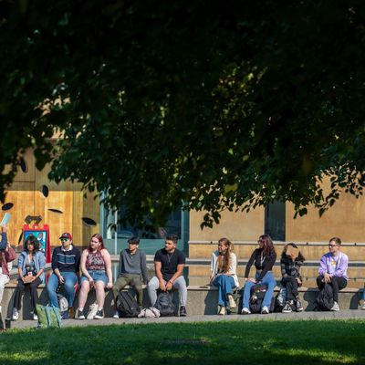 Students sitting on the grass under trees