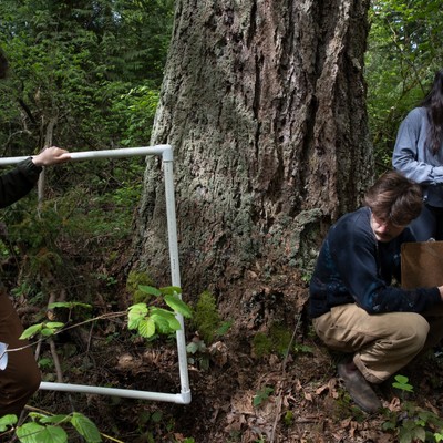 A group of people in a wooded area looking at a tree.