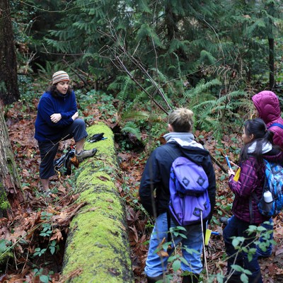 A group of people standing on a fallen tree in a forest.