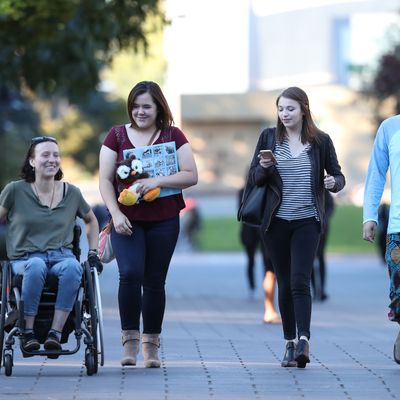 Students on campus in fall