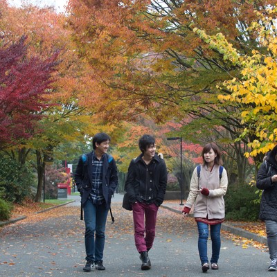 A group of students walking down a street in the fall.