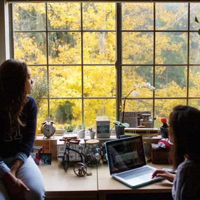 Students in room looking out window