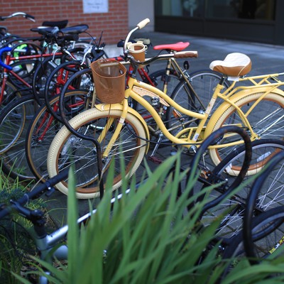 A group of bicycles parked in a row.