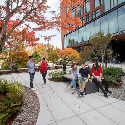 Students hang out in the tree-filled plaza of the Sinegal Center for Science and Innovation