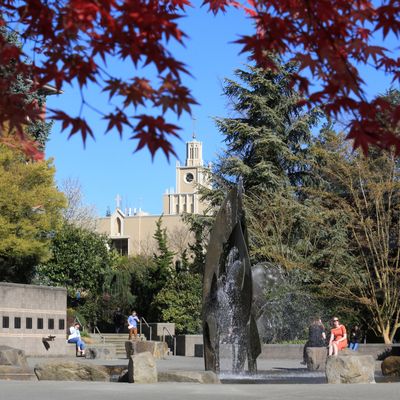 photography of fountain at Seattle University