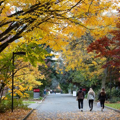 Students walking on campus during fall