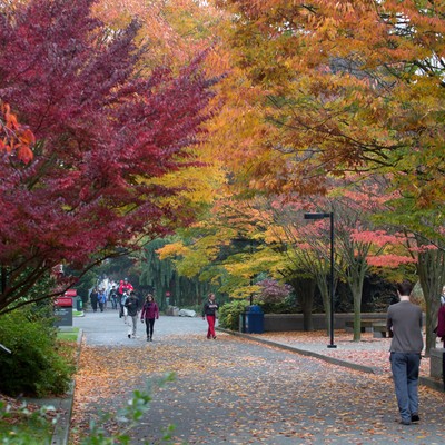 Seattle University campus in fall