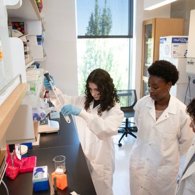 Three students in lab coats examine a specimen