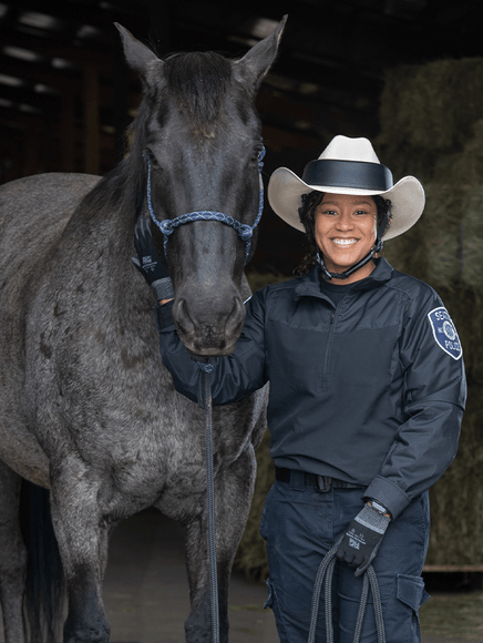 A police officer with a horse
