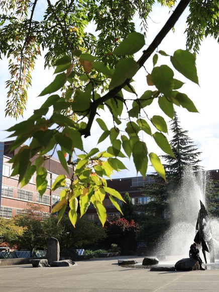 Fountain at the Quad with fall foliage