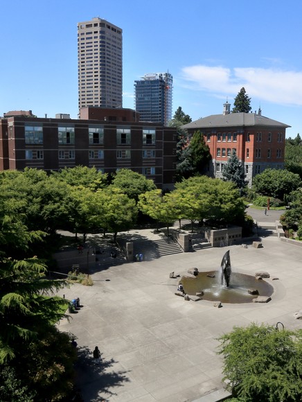 An aerial view of a park