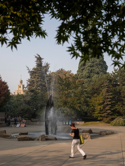 A group of people walking in a park.