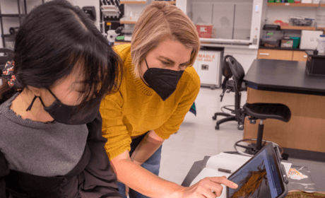 A professor and student look at insect on a screen