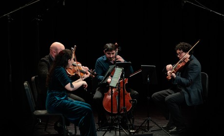 Four Cornish students play string instruments