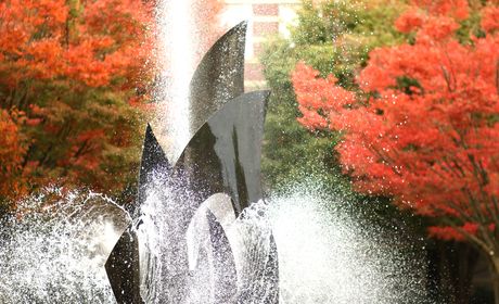 Campus Scenes