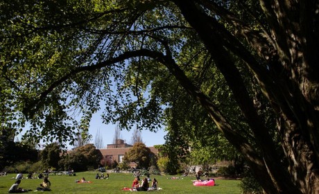 A group of people are sitting on a grassy field.