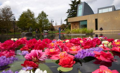 Flowers in the Reflection Pool at the Chapel of St. Ignatius