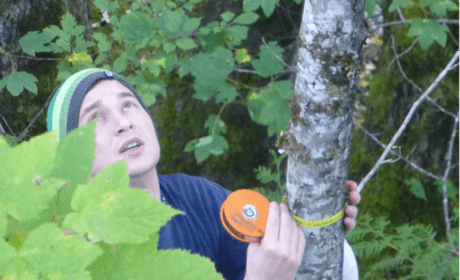 Student Measures Tree