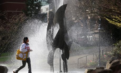 Image of student walking by the Centennial Fountain in the campus quad.