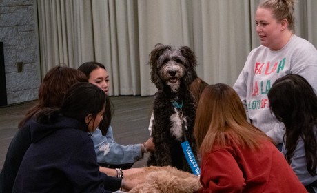 DeStressWithDogsFall23_jr_004