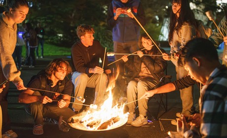 Smores