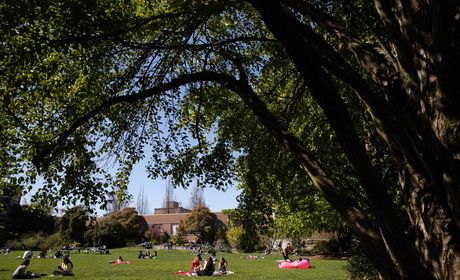 campus green filled with students on a sunny day