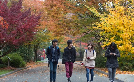 A group of students walking down a street in the fall.