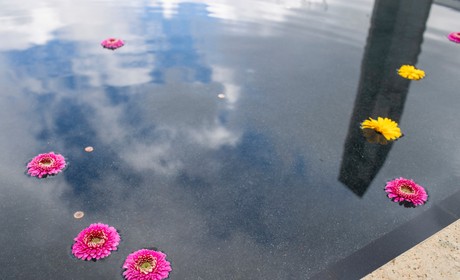 A pool surrounded by flowers and a skyscraper.