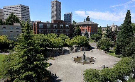An aerial view of a park