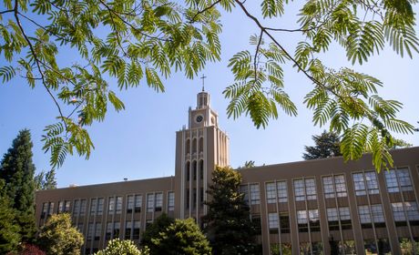 Administration building on a sunny blue sky day