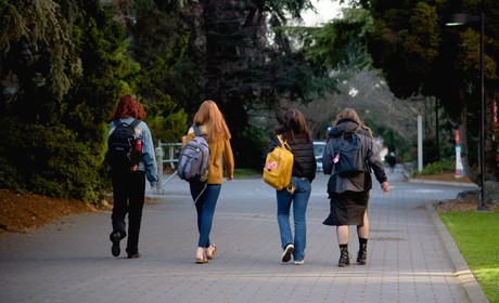 A group of people walking down a path in a park.