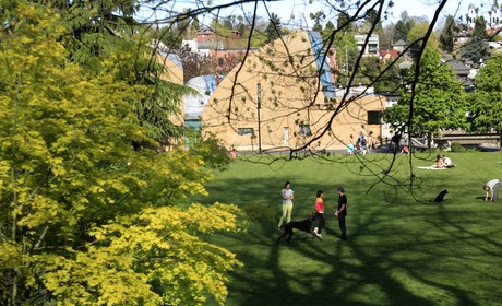 A view of a park with trees and people.