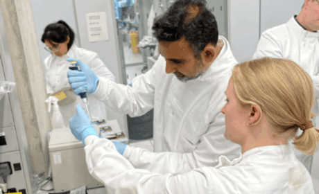 lab