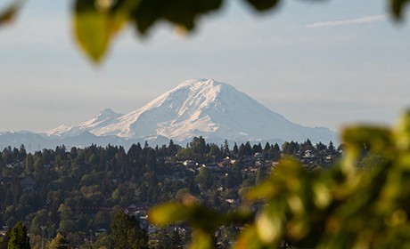Scenic photo of Mount Rainier in the distance
