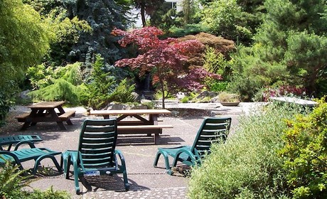 campion tea garden