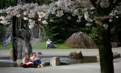 students reading in quad