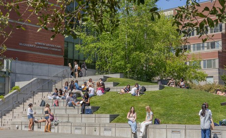 Students in the sun outside the library across the grass and on the steps