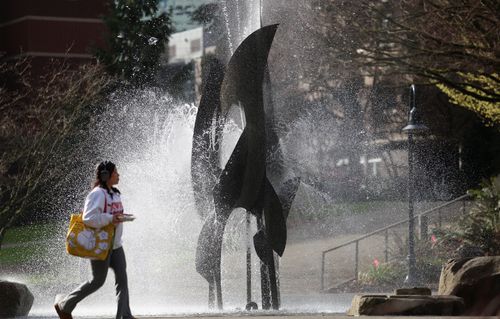 Student walking by the fountain