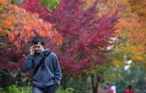 A student walks under fall foliage talking on a cell phone