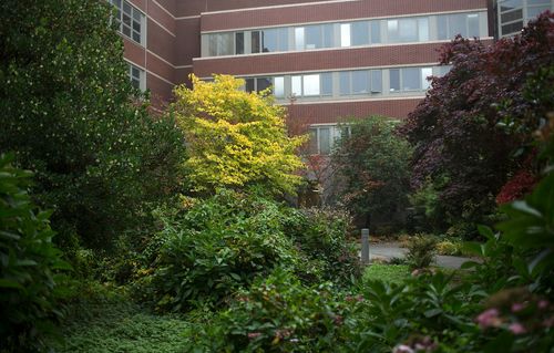AASHE campus greenspace