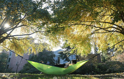 Two students reading in a hammock.
