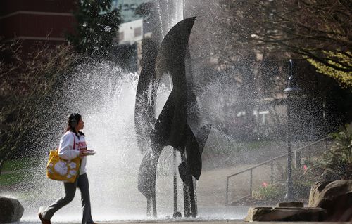Image of student walking by the Centennial Fountain in the campus quad.