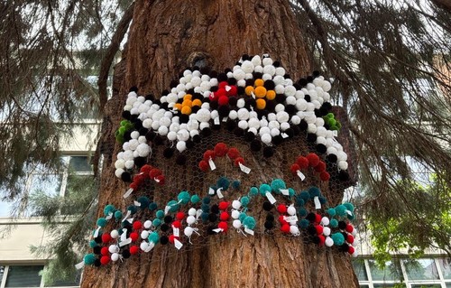 Kasumi pom pom tree closeup