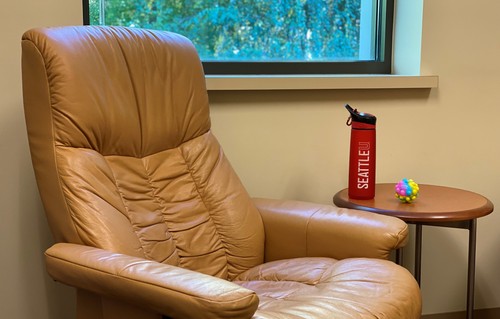 A leather counseling chair sitting empty in front of a window.