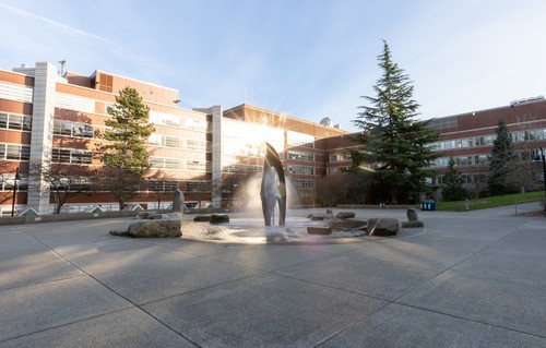 Campus fountain in sunlight